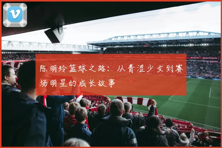 陈明玲篮球之路：从青涩少女到赛场明星的成长故事