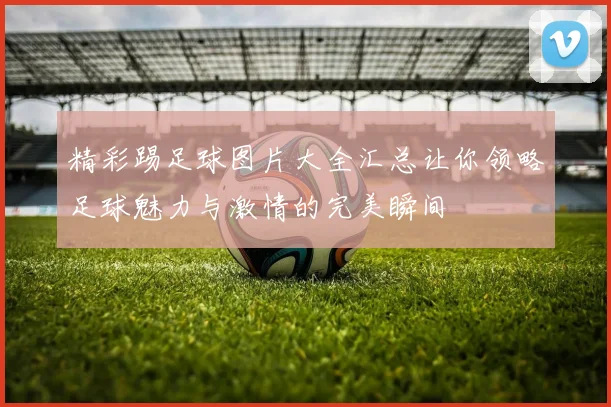 精彩踢足球图片大全汇总让你领略足球魅力与激情的完美瞬间