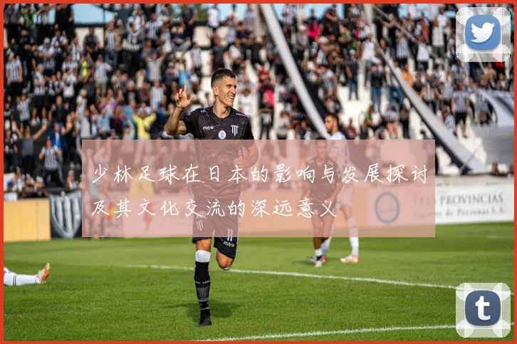 少林足球在日本的影响与发展探讨及其文化交流的深远意义