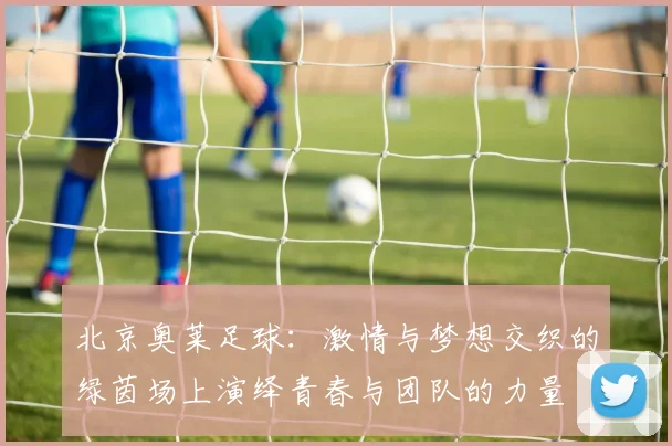 北京奥莱足球：激情与梦想交织的绿茵场上演绎青春与团队的力量